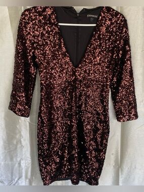Express Sequin V-Neck Dress - Rose Gold and Black Sequins